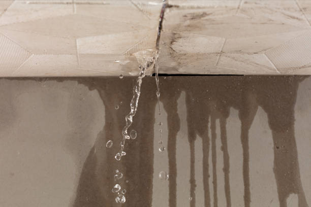 Professional Flood Damage Cleanup technician working in Raymond, WA